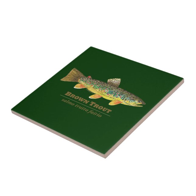 Azulejo De Cerâmica Tiologia Latina de Truta Marrom (Lateral)