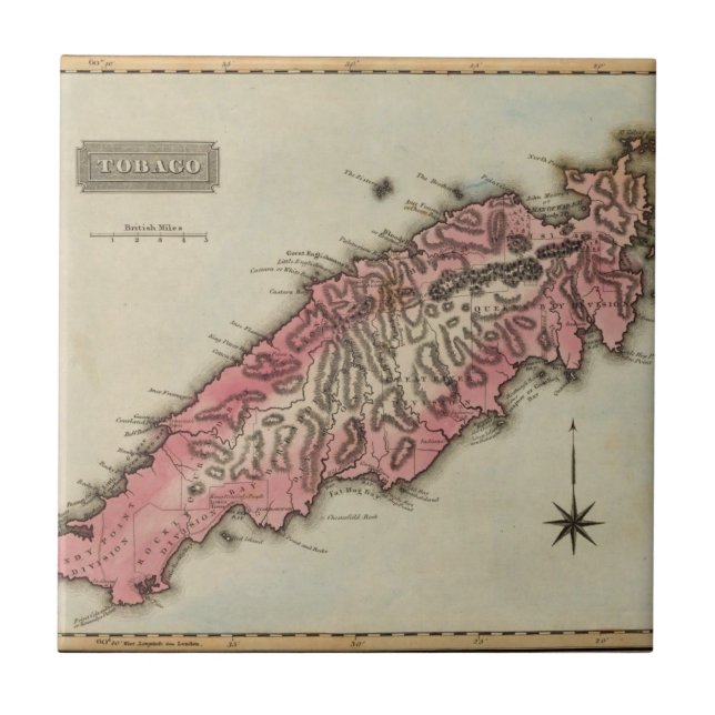 Azulejo De Cerâmica Tobago (Frente)