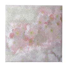 Todos os Sonhos em Rosa