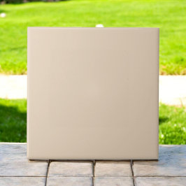 Azulejo De Cerâmica Tone da Terra Moderna e Monocromática Elegante