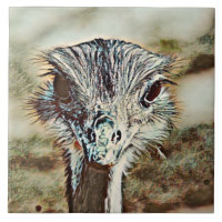 toony ostrich