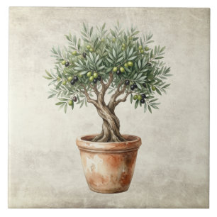Azulejo De Cerâmica Topiária de oliveira aguarelas mediterrâneas rústi