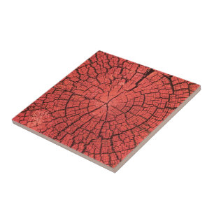 Azulejo De Cerâmica Tora de Árvore Seca Corte Transversal Madeira Verm