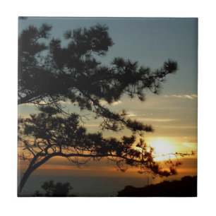 Azulejo De Cerâmica Torrey Pine Sunset I California Landscape