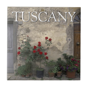 Azulejo De Cerâmica Toscana, Itália   Portal Toscano