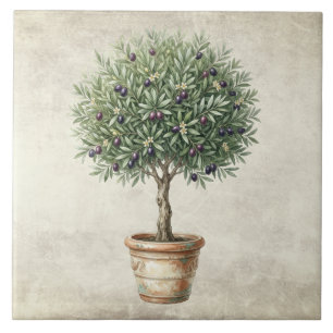 Azulejo De Cerâmica Toscana Topiaria de Oliveira Mediterrâneo