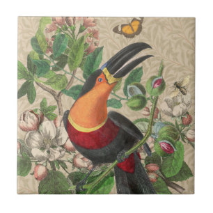 Azulejo De Cerâmica Toucan Jungle Tropical Bird Beauful Antiguidade