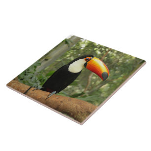 Azulejo De Cerâmica Toucan na ramificação da árvore