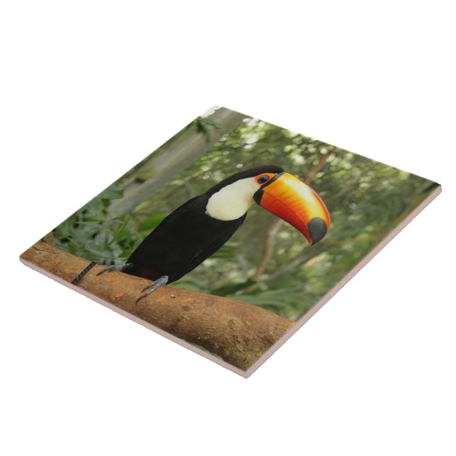 Azulejo De Cerâmica Toucan na ramificação da árvore (Lateral)