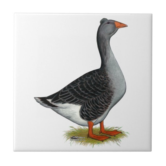 Azulejo De Cerâmica Toulouse Goose Tufted (Frente)