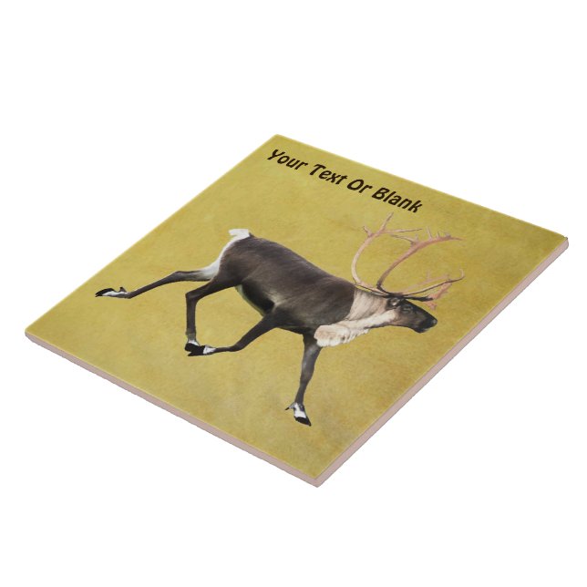 Azulejo De Cerâmica Touro Cariou (Lateral)