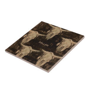 Azulejo De Cerâmica Touro Crânio Ocidental País Russo Marrom Sepia A