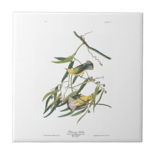 Azulejo De Cerâmica Toutinegra do Prothonotary da placa 3 de Audubon