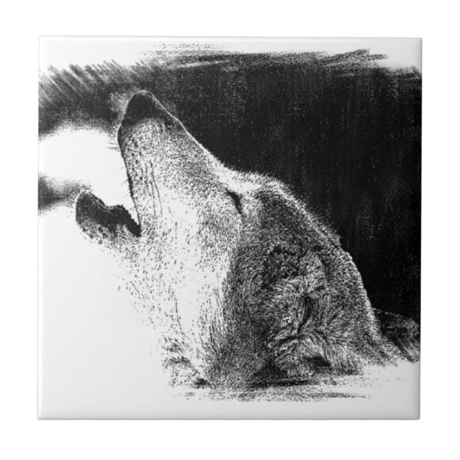 Azulejo De Cerâmica Trabalho de arte de desenho do lobo da Cinza branc (Frente)