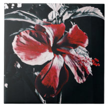 Trabalho de arte de Hibiscus Tropical do Jardim