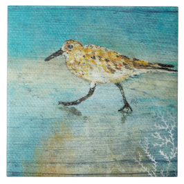 Azulejo De Cerâmica Trabalho de arte do Sandpiper Beach Shorebird Weat