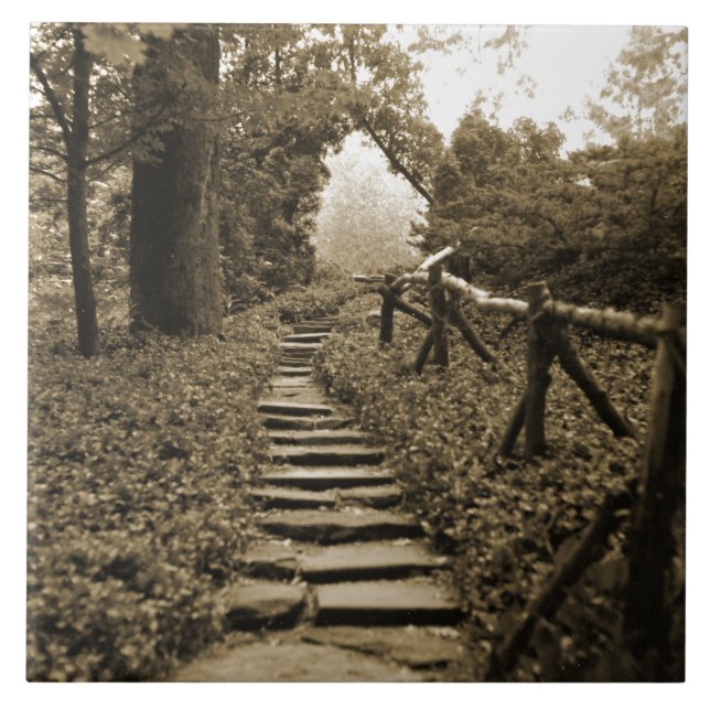 Azulejo De Cerâmica Trajeto a iluminar-se (Frente)