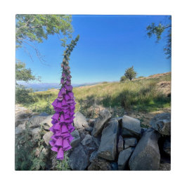 Azulejo De Cerâmica Tranquilidade do campo inglês