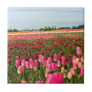Azulejo De Cerâmica Trator Verde em Tulip Field, Oregon