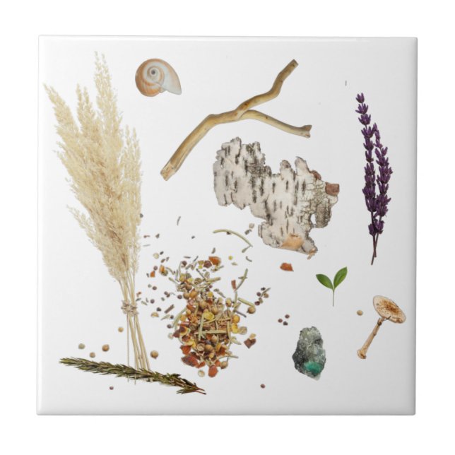 Azulejo De Cerâmica Treasures Ceramic Tile (Frente)