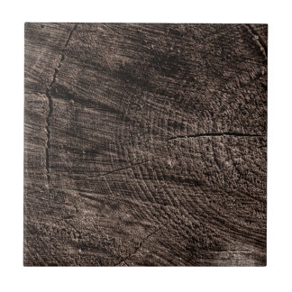 Azulejo De Cerâmica Tree Stump