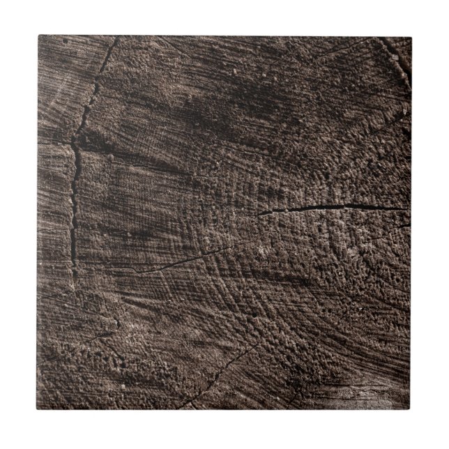 Azulejo De Cerâmica Tree Stump (Frente)