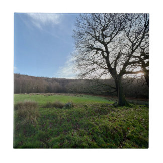 Azulejo De Cerâmica Tree view..