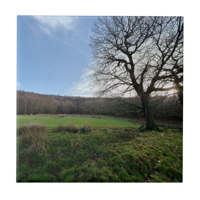 Azulejo De Cerâmica Tree view.. (Frente)