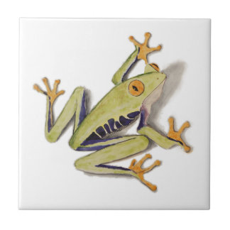 Azulejo De Cerâmica treefrog.jpg