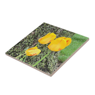 Azulejo De Cerâmica Três Tulipas Amarelas /