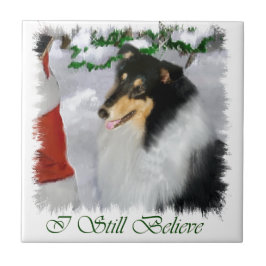 Azulejo De Cerâmica Tricolor Collie Natal