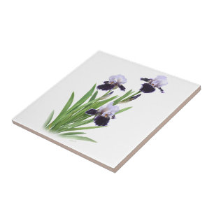 Azulejo De Cerâmica Trio de Íris Roxo Barbudo Arte Floral Botânico