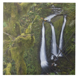 Azulejo De Cerâmica Triple Falls, Desfiladeiro do Rio Columbia