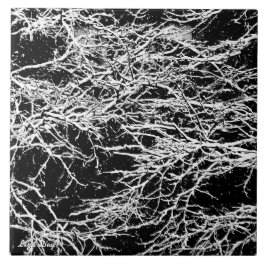 Azulejo De Cerâmica Trivet/Azulejo de inverno