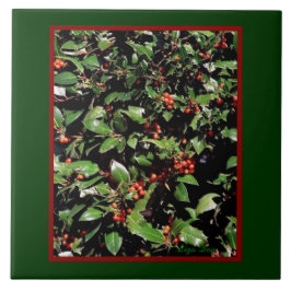 Azulejo De Cerâmica Trivet/Azulejo 'Holly & Berries'