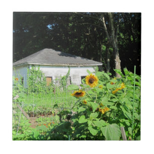 Azulejo De Cerâmica Trivet do Jardim do País