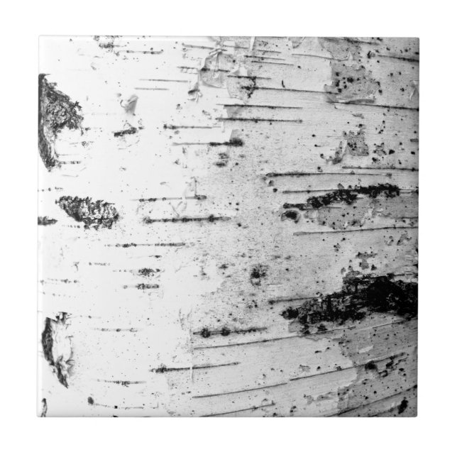 Azulejo De Cerâmica Tronco de passarinho (Frente)