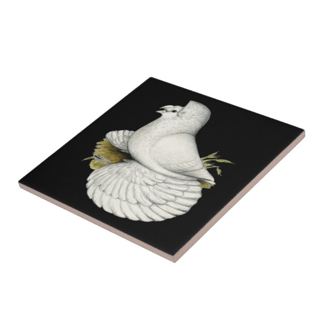 Azulejo De Cerâmica Trumpeter Pigeon White (Lateral)
