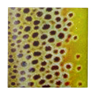 Azulejo De Cerâmica Truta de Brown por PatternWear©