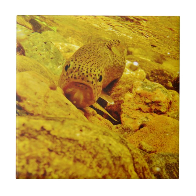 Azulejo De Cerâmica Truta em fluxo (Frente)