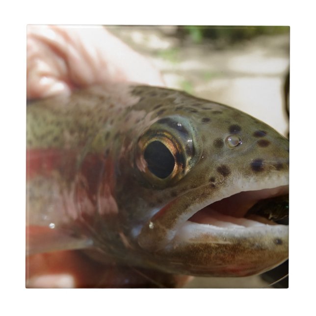 Azulejo De Cerâmica Truta em Mãos (Frente)