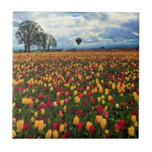 Azulejo De Cerâmica Tulip Fazenda em Oregon