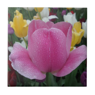 Azulejo De Cerâmica Tulip Pequeno (4,25" x 4,25") Azulejo fotográfico