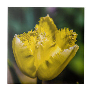 Azulejo De Cerâmica Tulipa Amarela