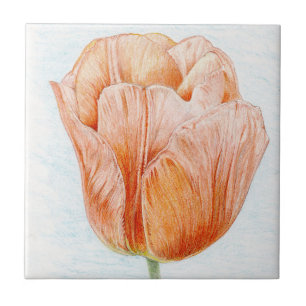 Azulejo De Cerâmica Tulipa em Peach