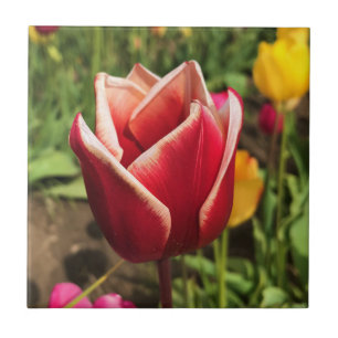 Azulejo De Cerâmica Tulipa Leen Van Der Mark, Oregon