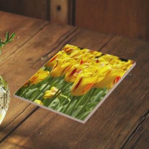 Azulejo De Cerâmica Tulipas Amarelas com Faixa Vermelha Floral