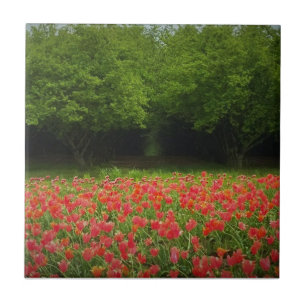 Azulejo De Cerâmica Tulipas e Árvores