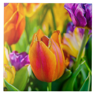 Azulejo De Cerâmica Tulipas Encantando