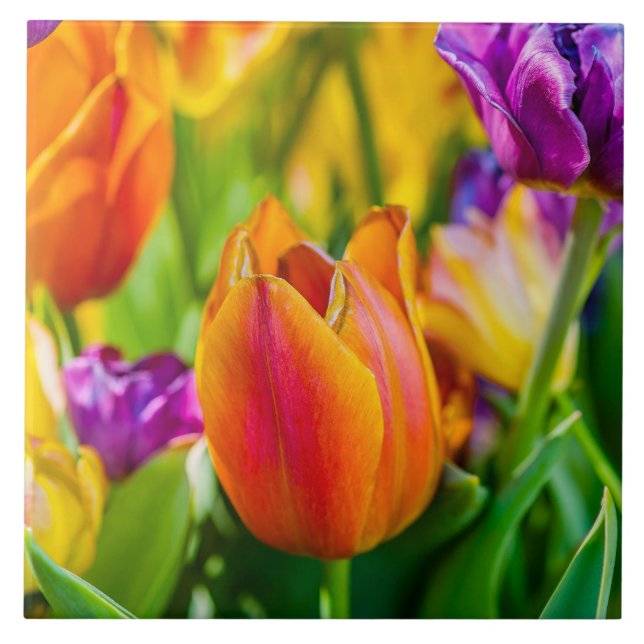 Azulejo De Cerâmica Tulipas Encantando (Frente)